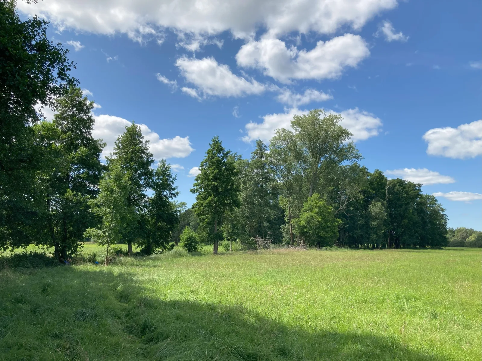 Spreewaldhof Schupan - Fewo Spreewaldgurke