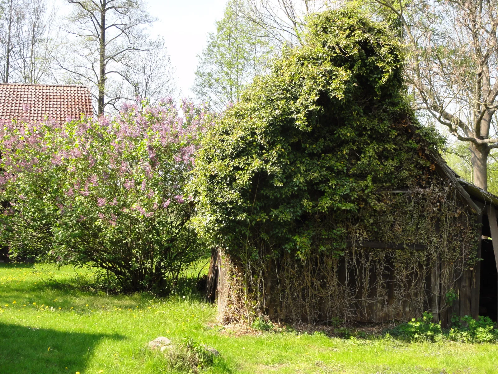 Spreewaldhof Schupan - Ferienhaus Antje