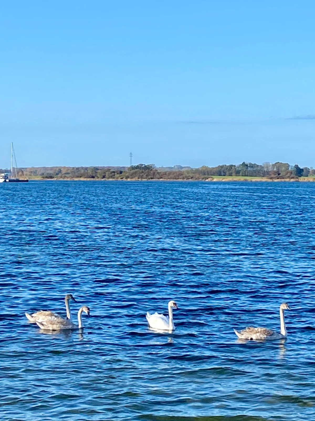 Ferienwohnung Jasmin Ostsee