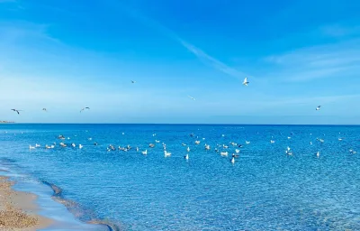 Ferienwohnung Jasmin Ostsee