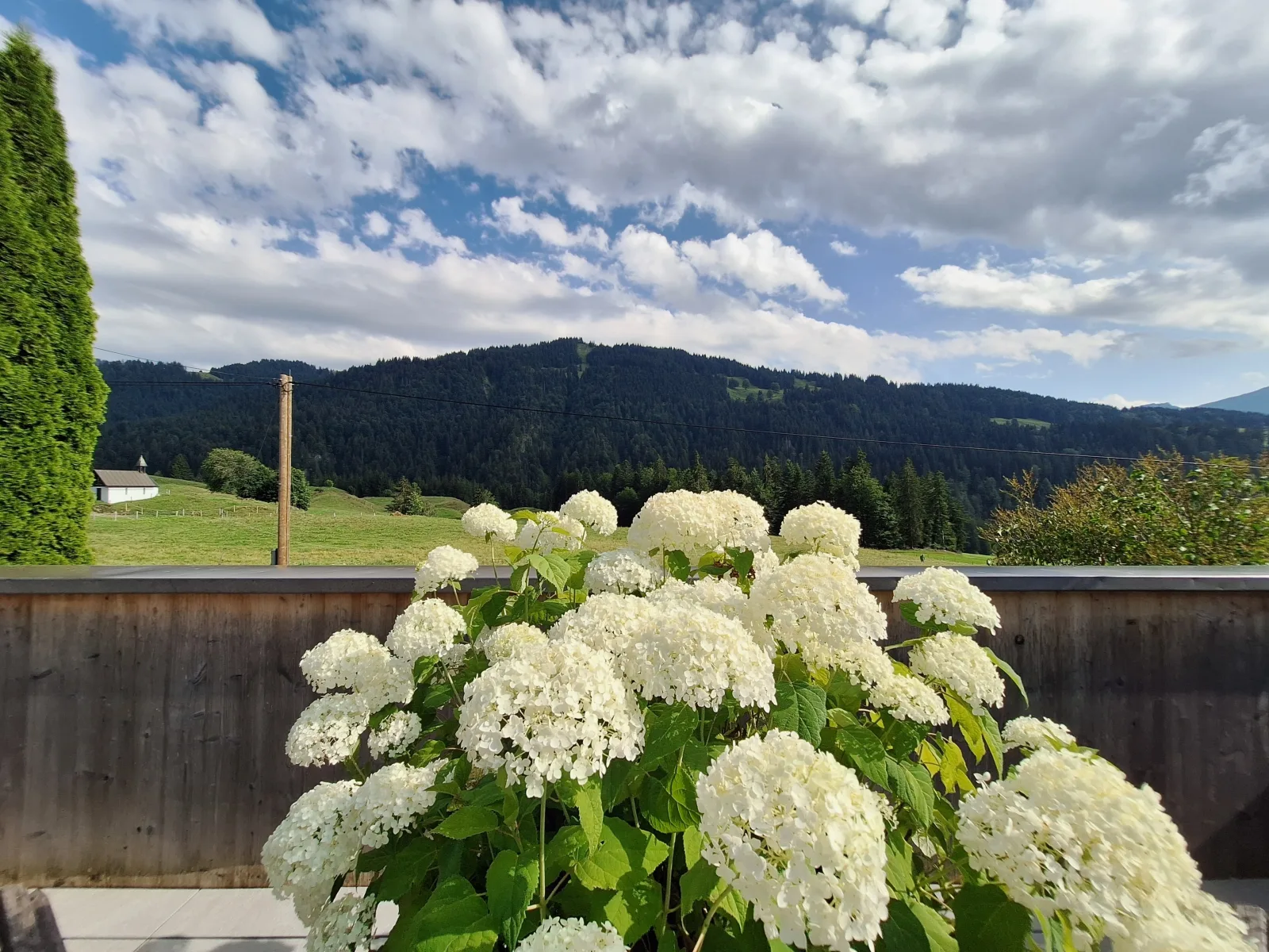Ferienhof Sonne Allgäuer