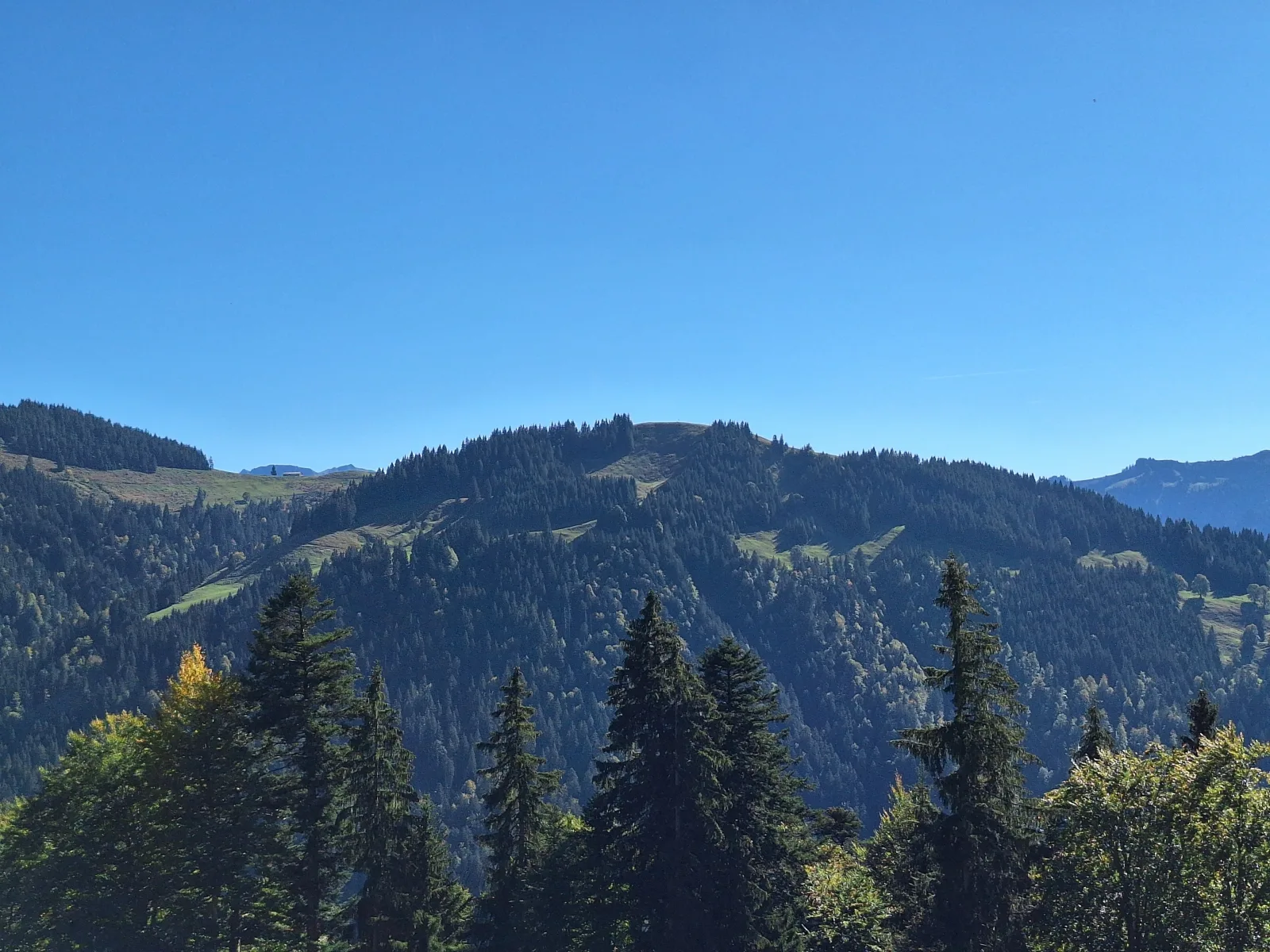 Ferienhof Sonne Allgäuer