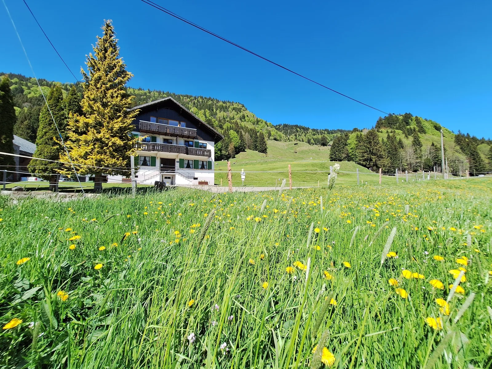 Ferienhof Sonne Allgäuer