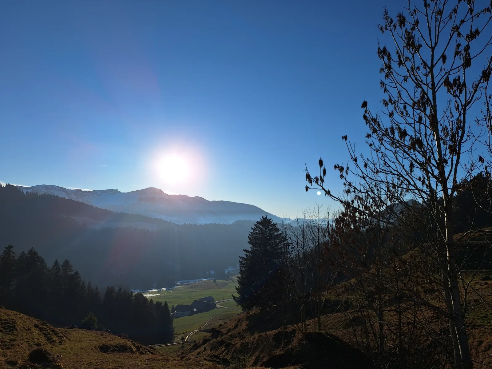 Ferienhof Sonne Allgäuer