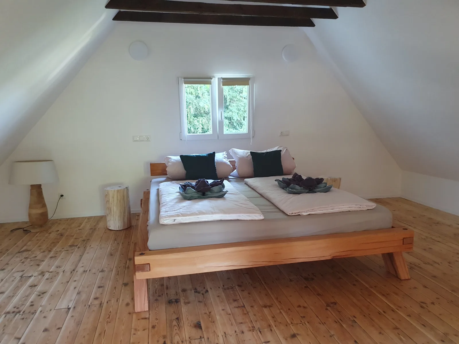 Ferienhaus am Rursee- Haus Efeu