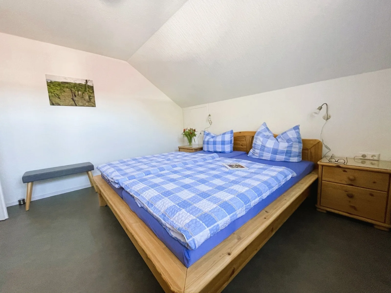 Apartment Bassgeige