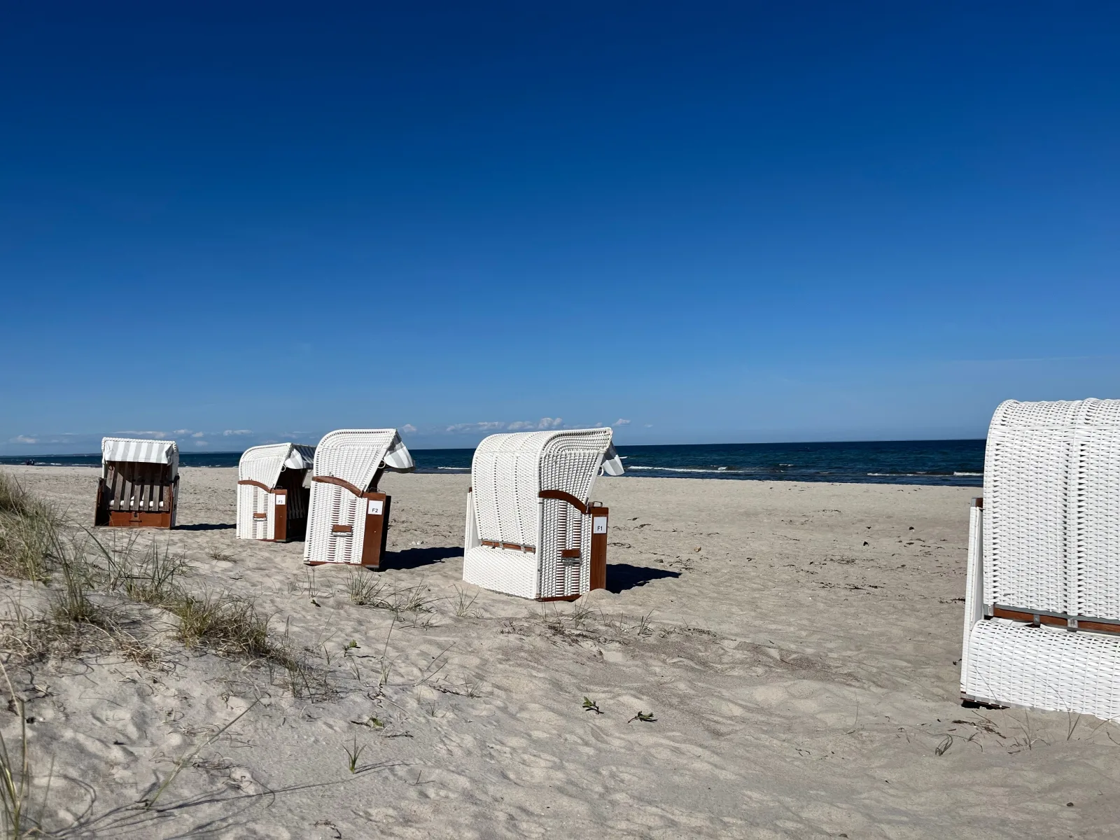 Terrassen-Fewo Seaside am Ostseestrand inkl. Schwimmbad und Strandkorb