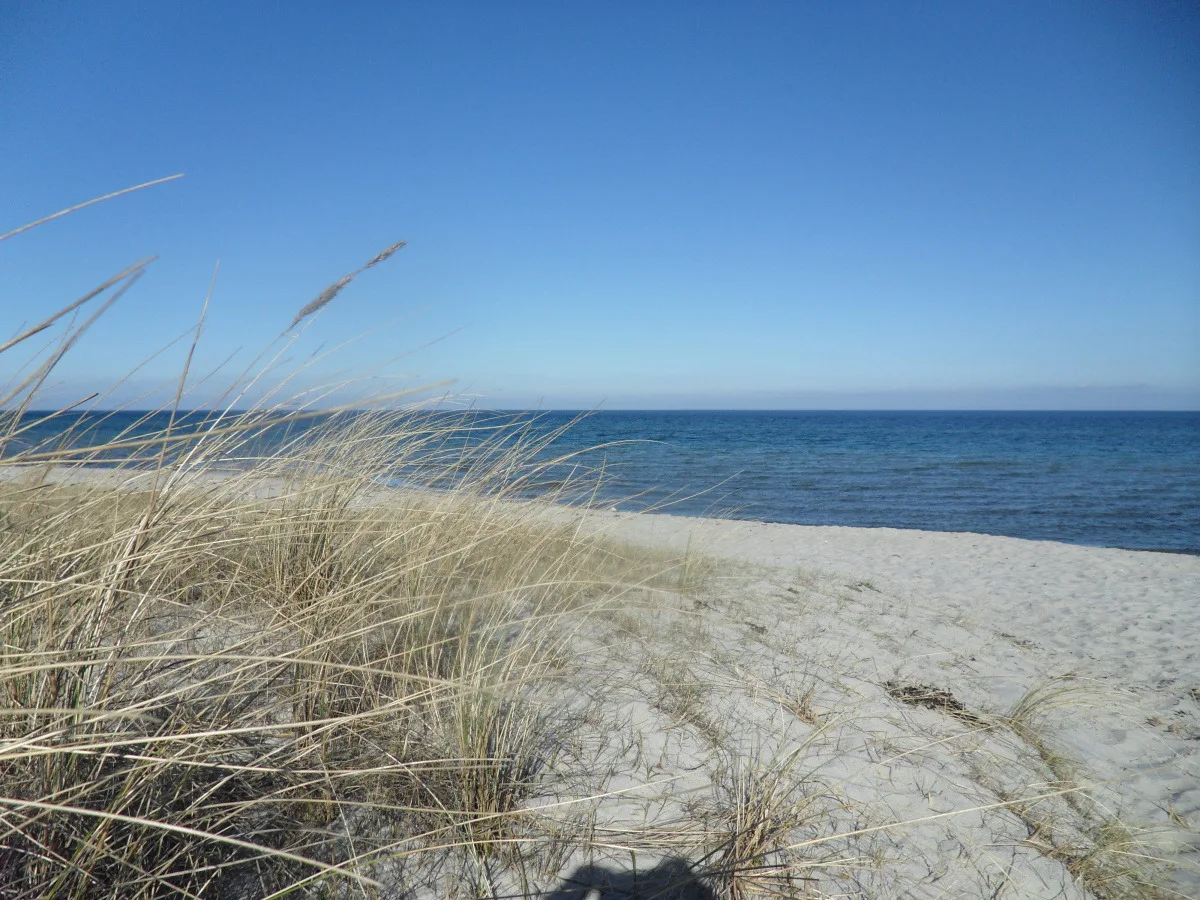 Terrassen-Fewo Seaside am Ostseestrand inkl. Schwimmbad und Strandkorb