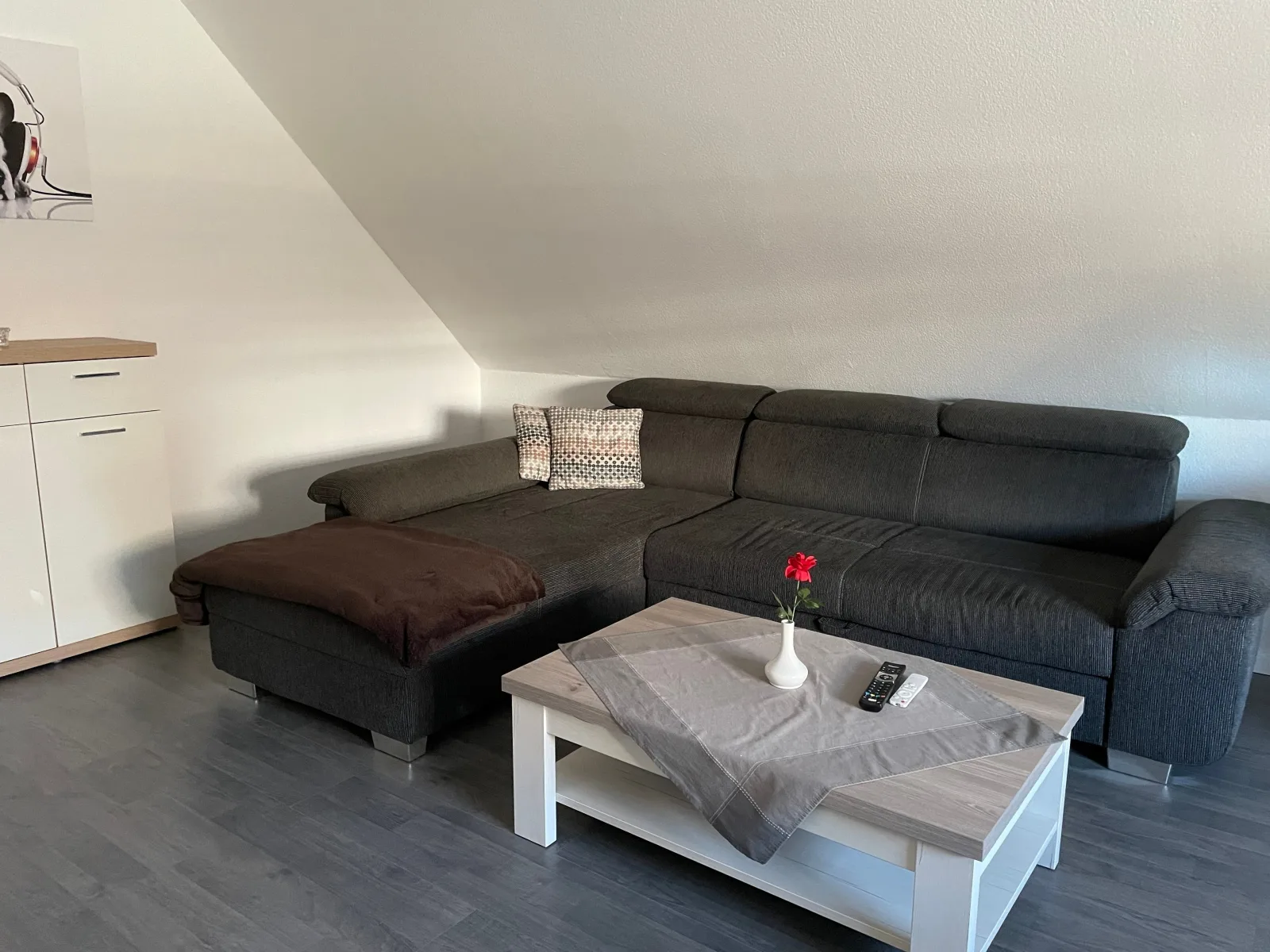 Dachsbau