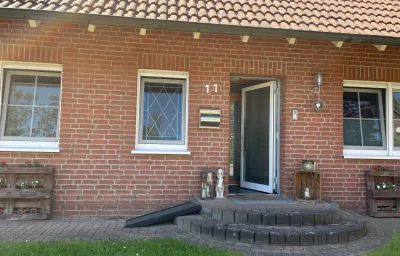 Dachsbau