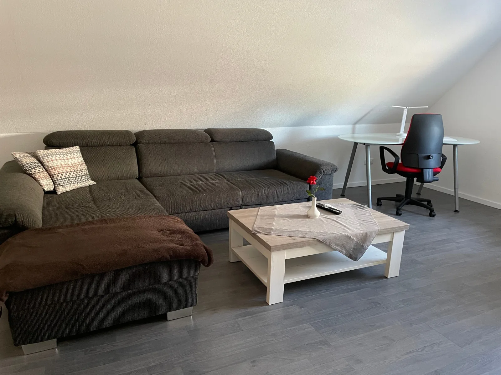 Dachsbau