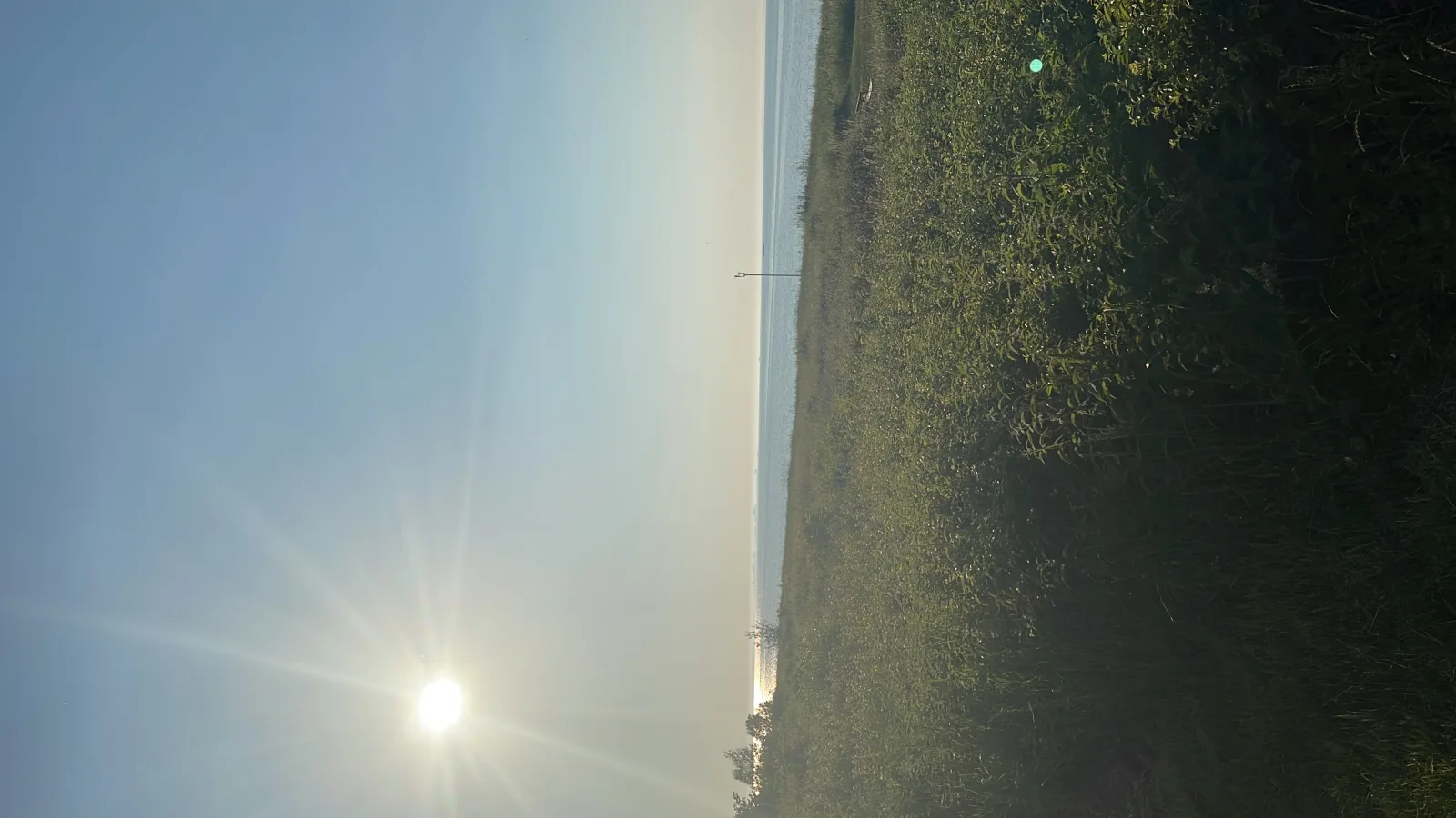 Seesternchen