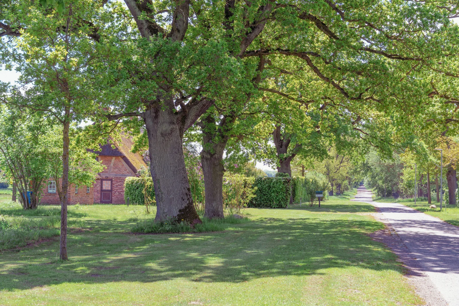 Ferienwohnung Hasenkate II - Boldevitzer Rügenkaten