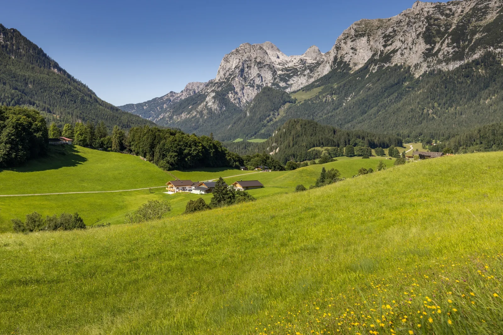 Kammerlingalm