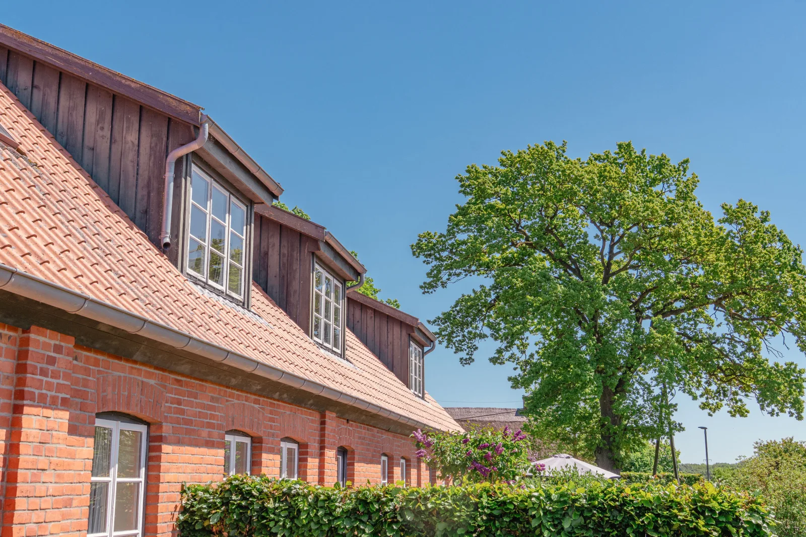Ferienwohnung Koppelblick III - Boldevitzer Rügenkaten