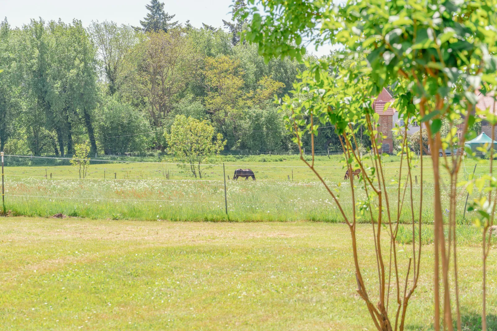 Ferienwohnung Koppelblick III - Boldevitzer Rügenkaten