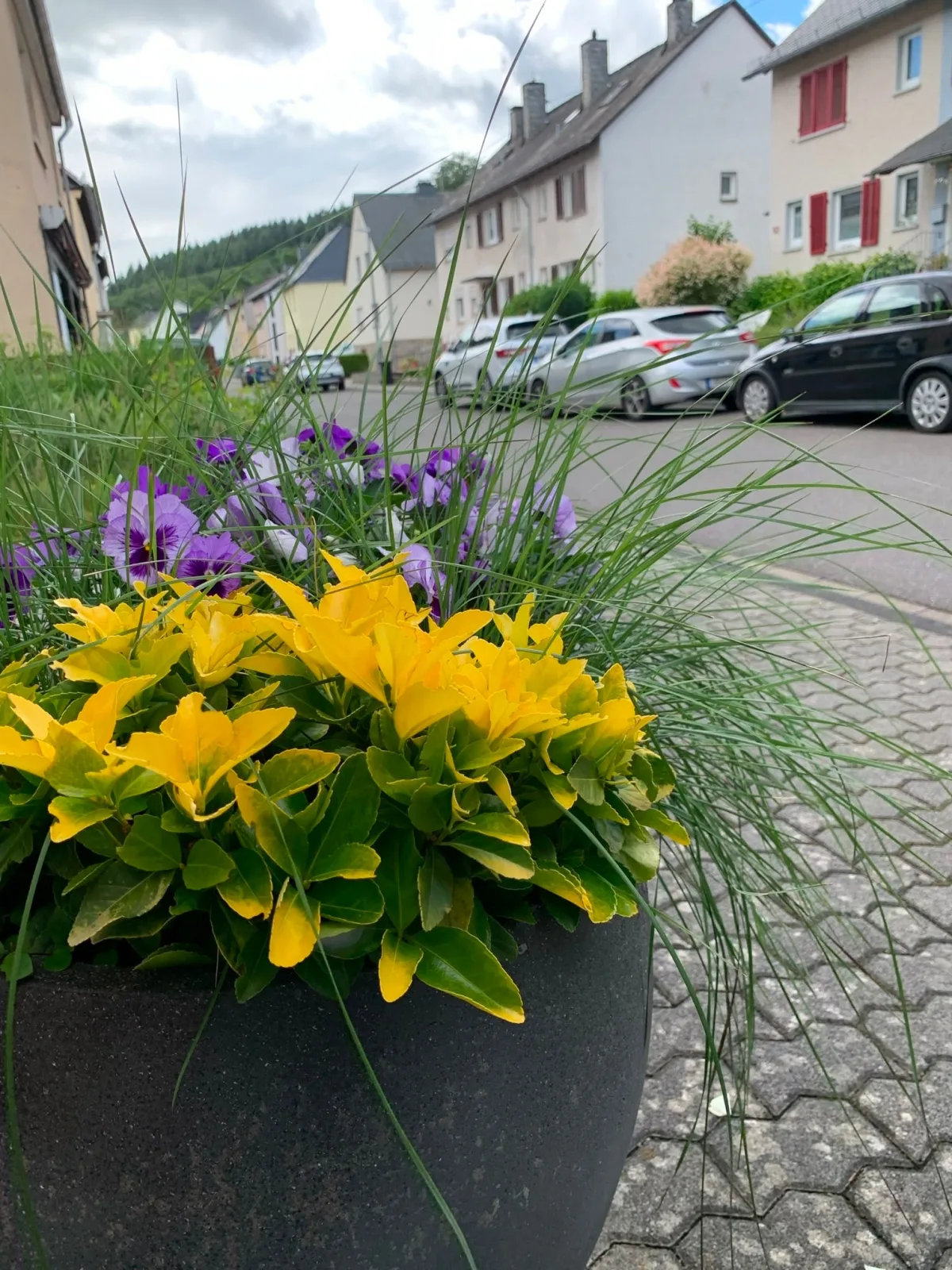 Ferienwohnung Dialog 72