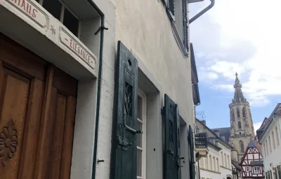 Altstadtmeise Elegance
