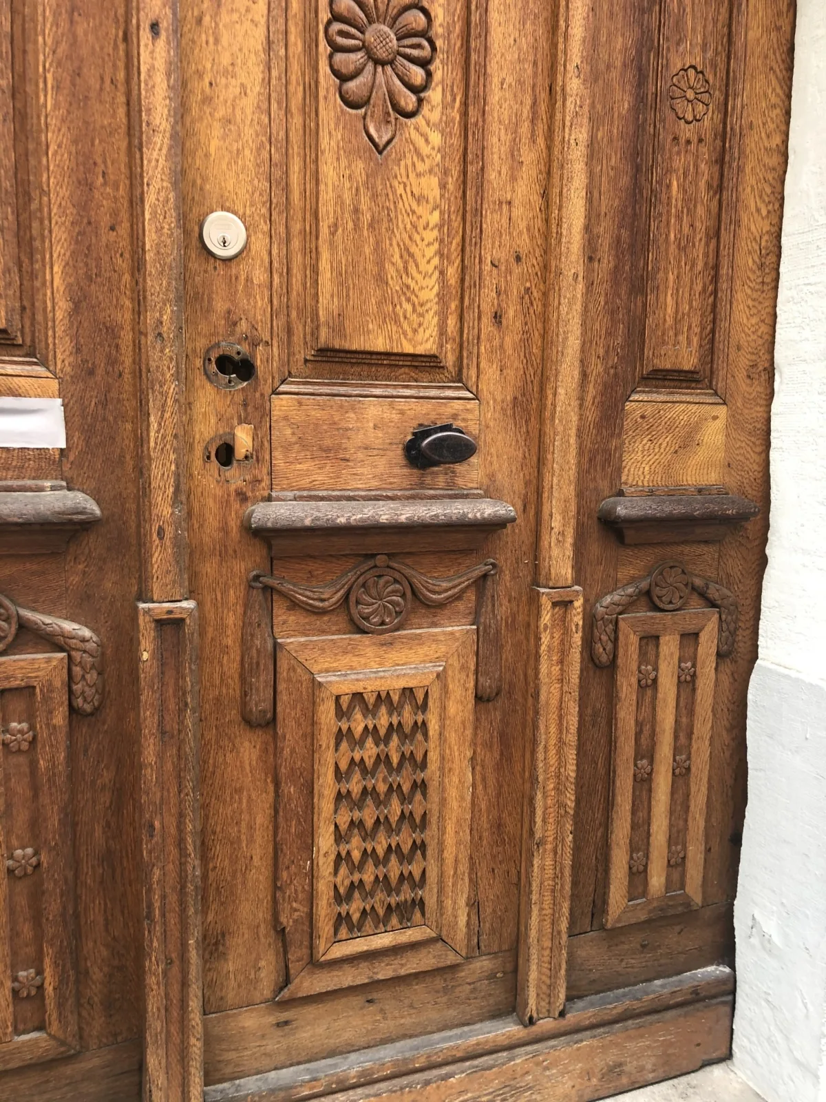 Altstadtmeise Elegance