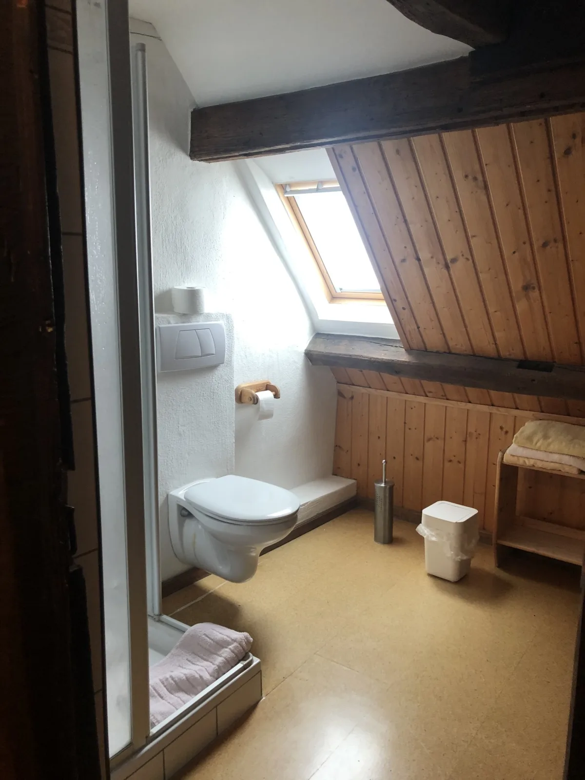 Altstadtmeise Elegance