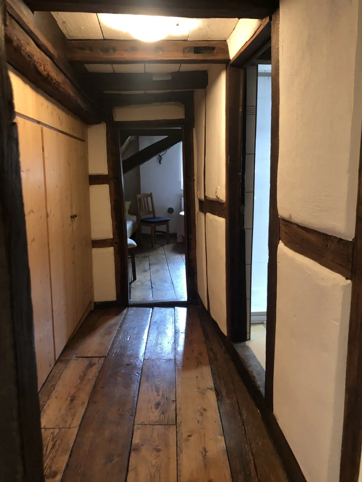 Altstadtmeise Elegance
