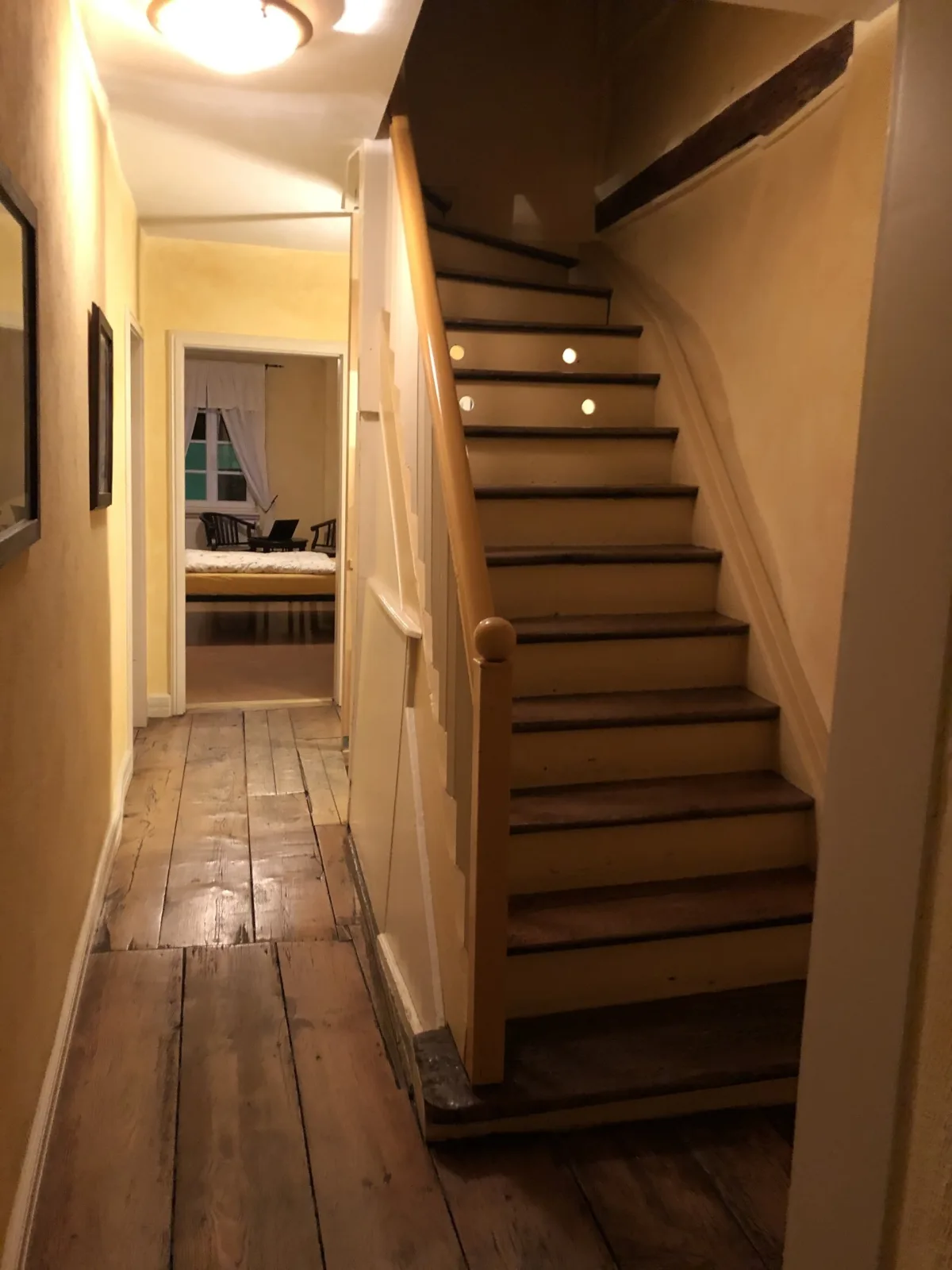 Altstadtmeise Elegance
