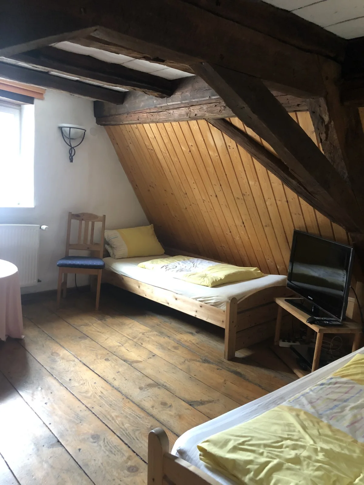 Altstadtmeise Elegance