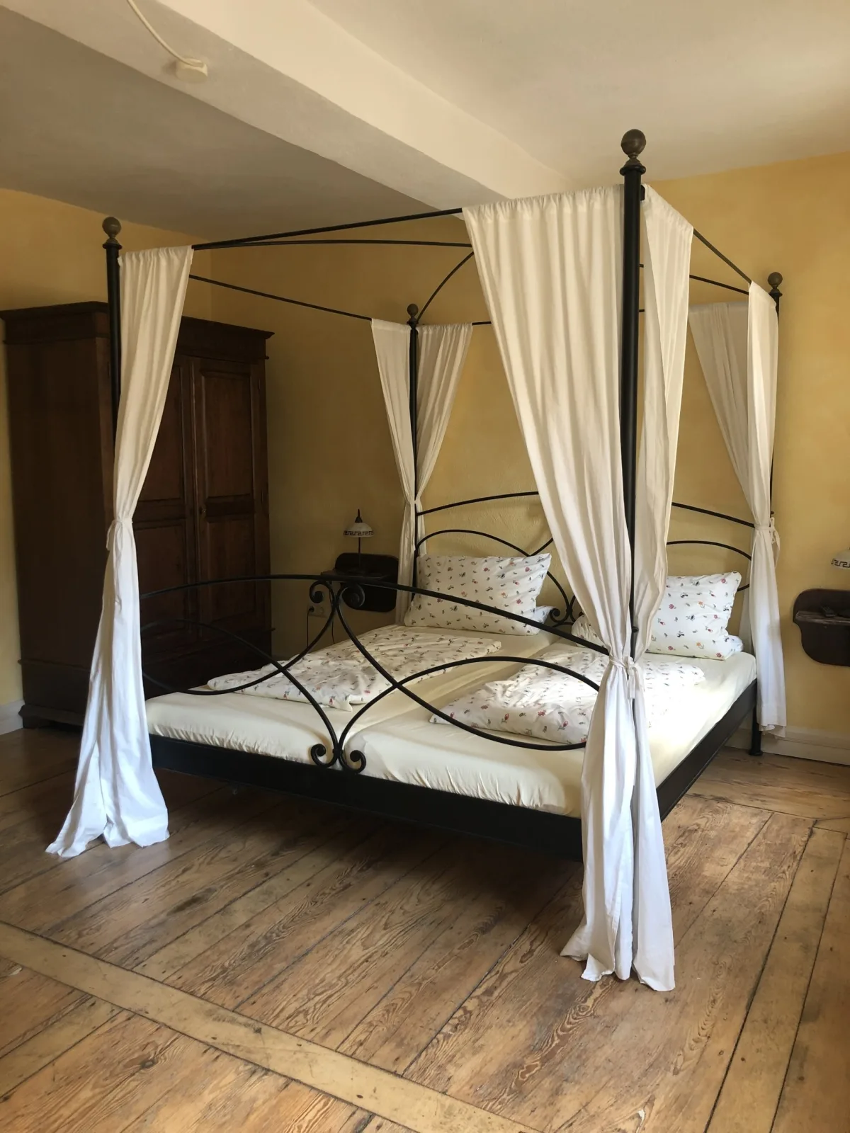 Altstadtmeise Elegance