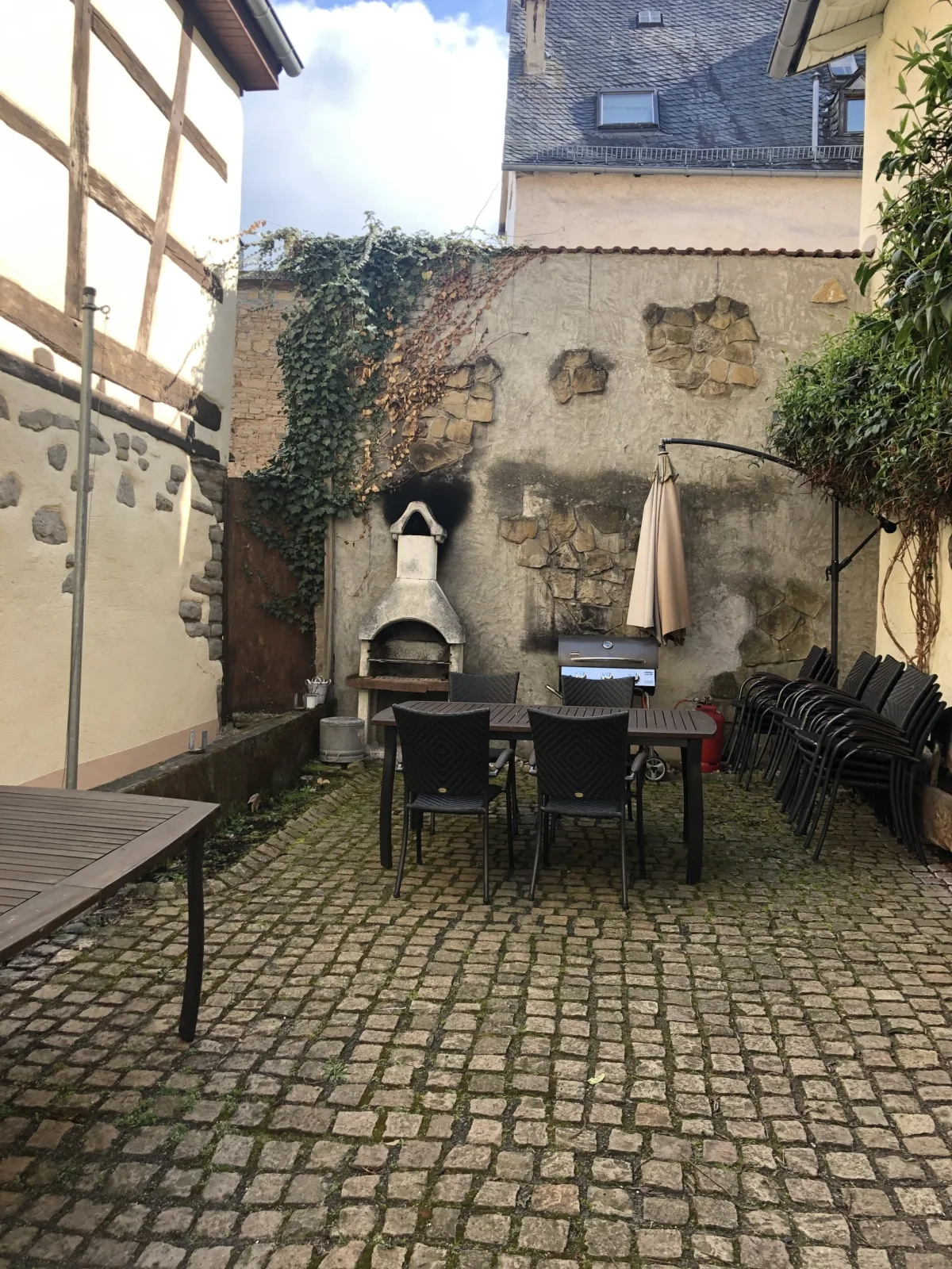 Altstadtmeise Elegance