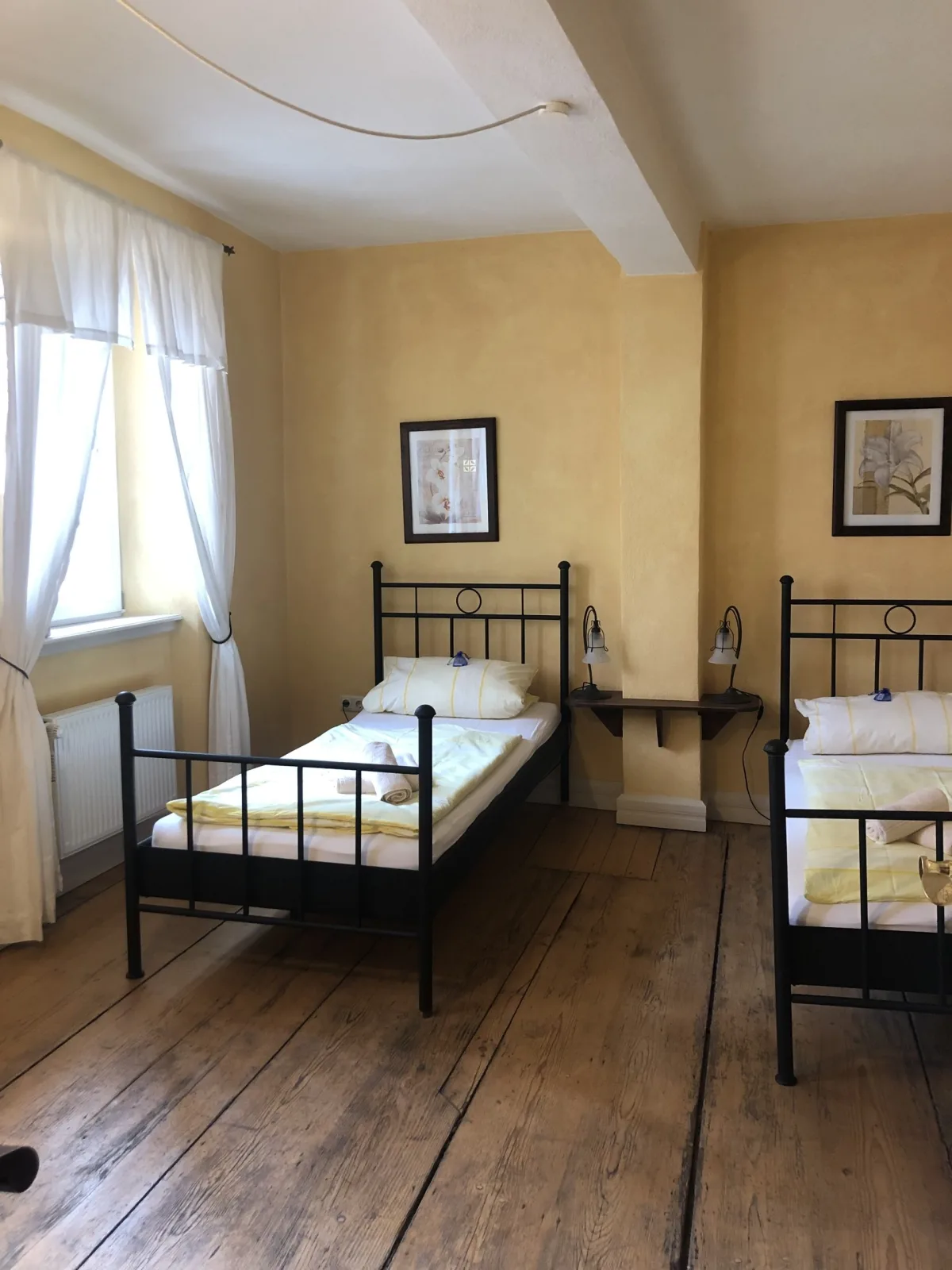 Altstadtmeise Elegance