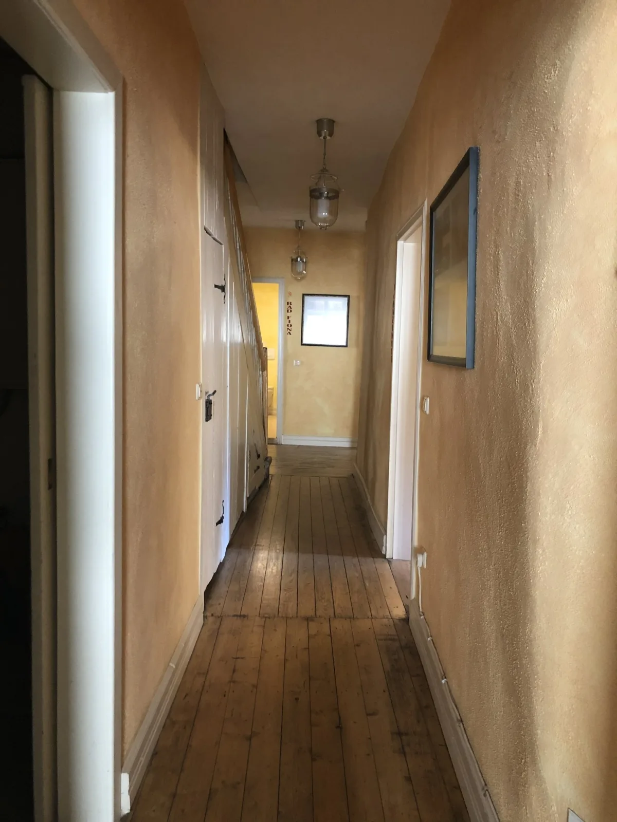 Altstadtmeise Elegance