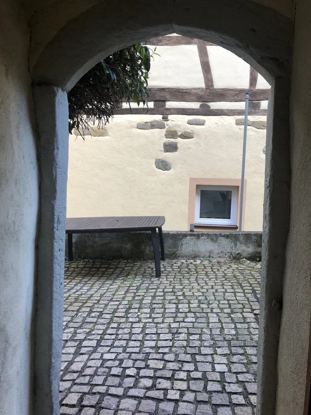 Altstadtmeise Elegance