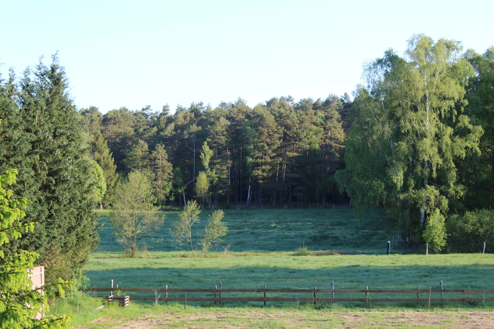 Ferienwohnung Kranichhorst