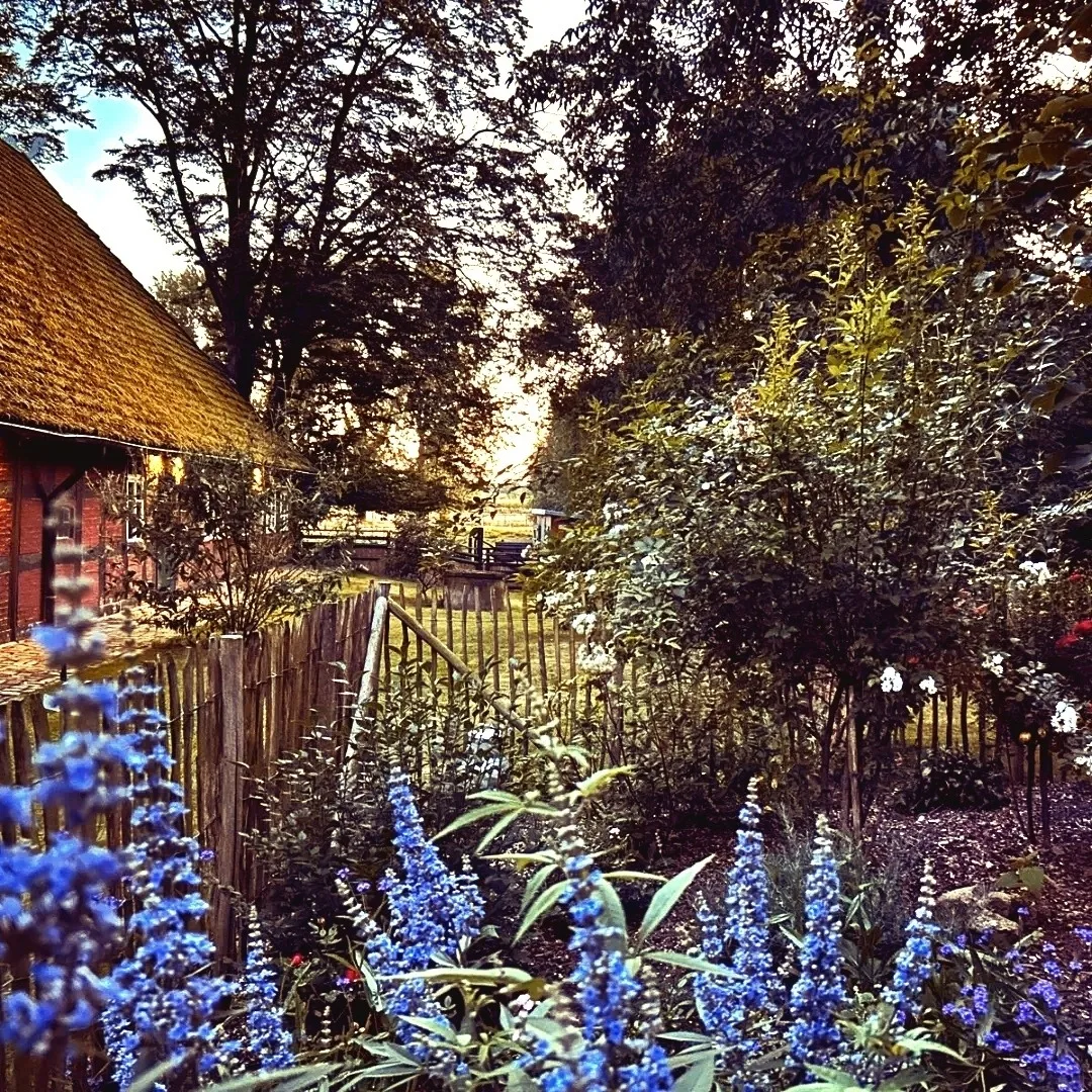 Private Auszeit | Idyllischer Rückzugsort auf dem Land inklusive privatem Saunahaus im Dümmer-Weserland