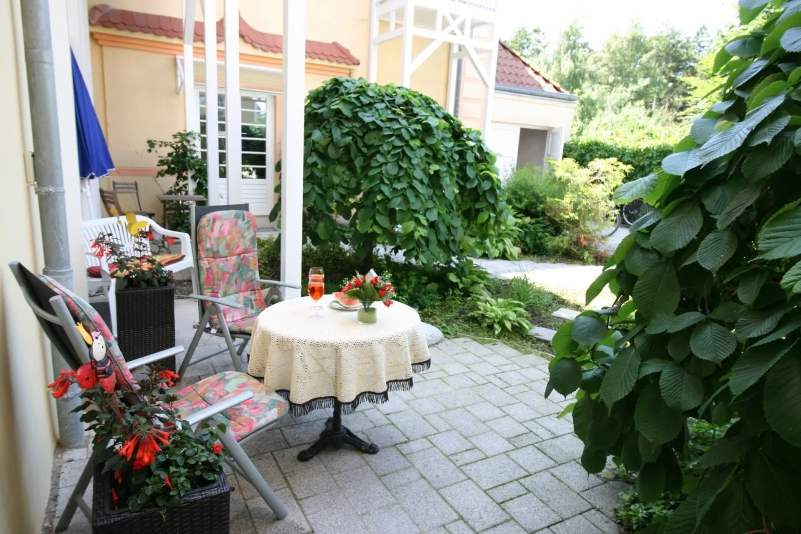 Residenz unter den Linden  -> Seesternchen