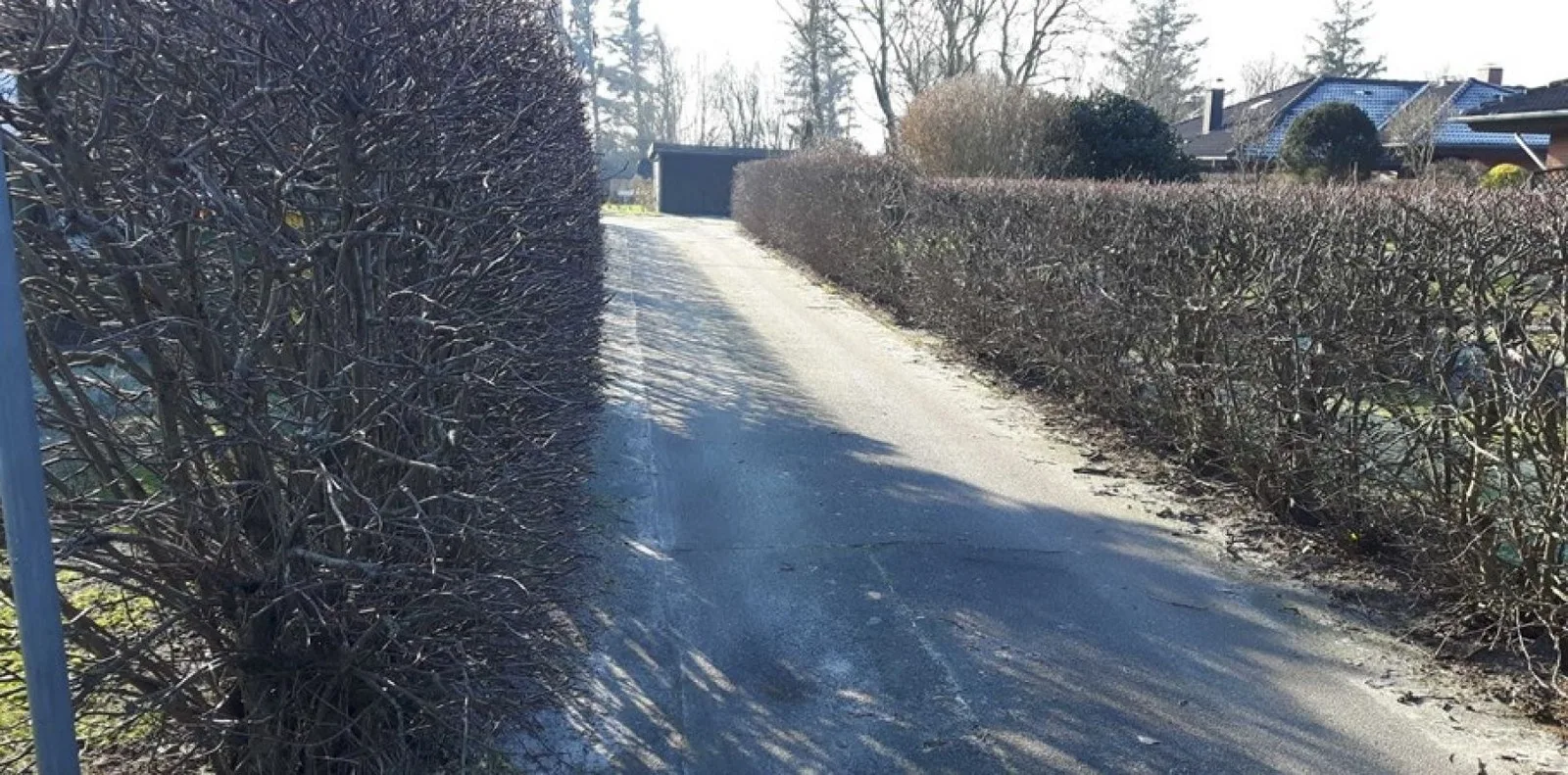 Deichblick-SPO