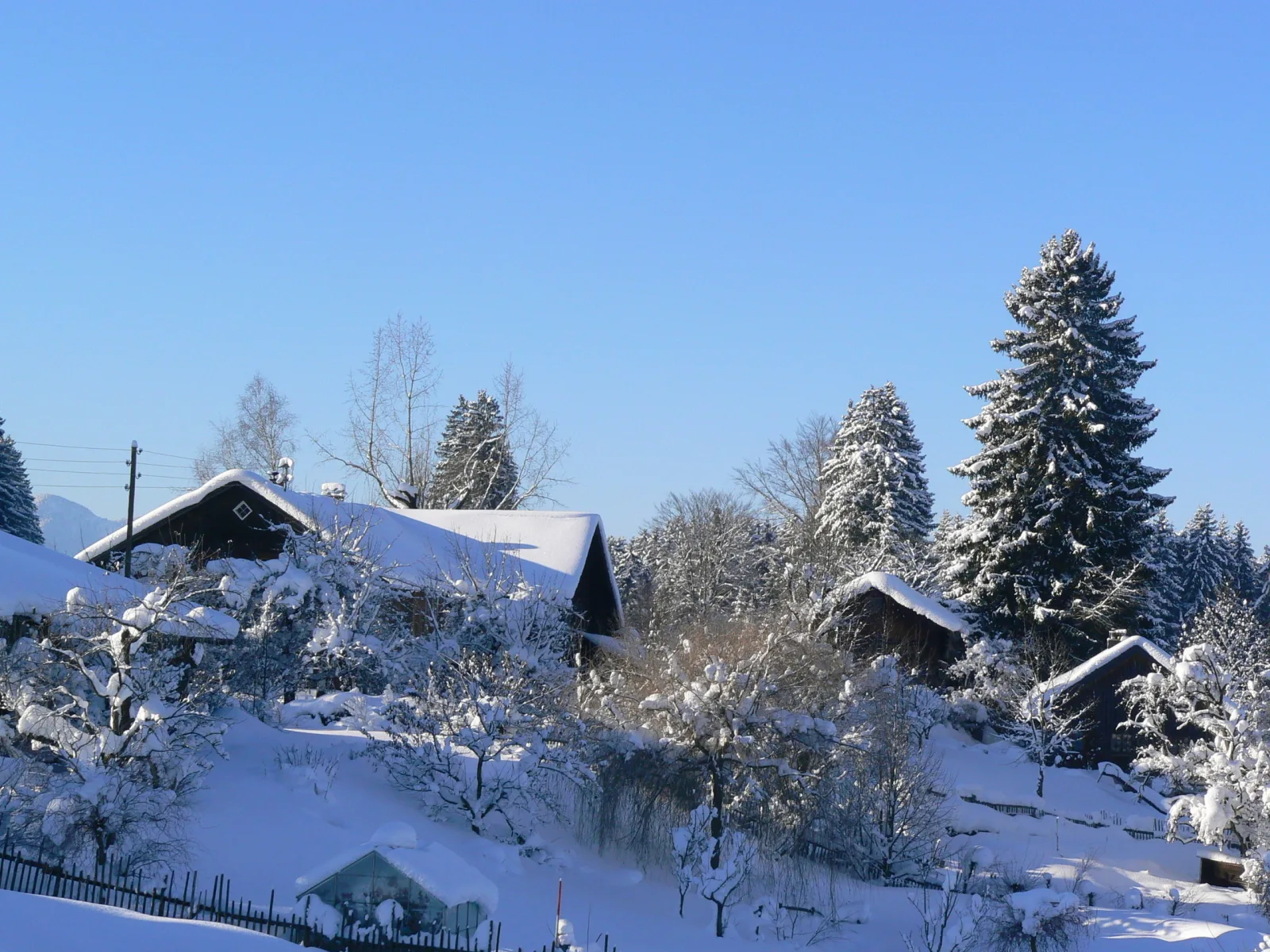 Ferienhaus