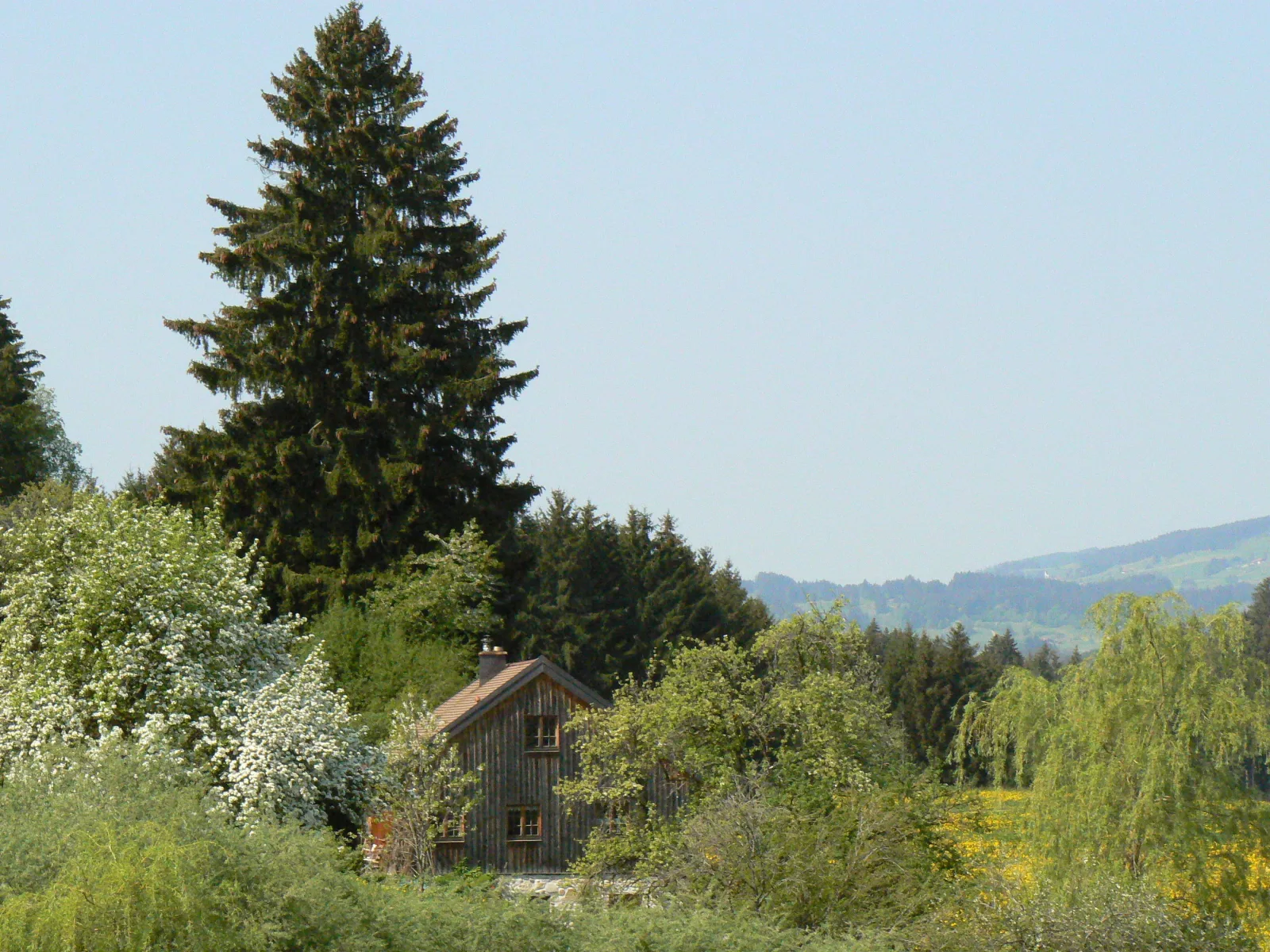 Ferienhaus