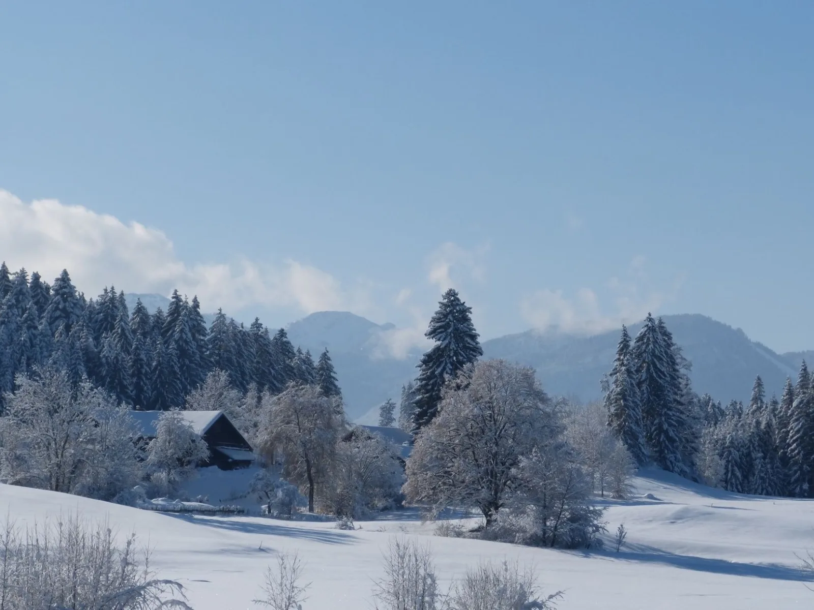 Ferienhaus