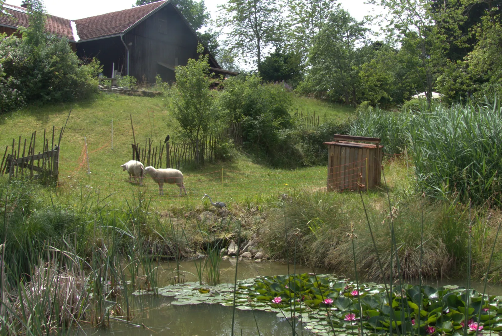 Ferienhaus