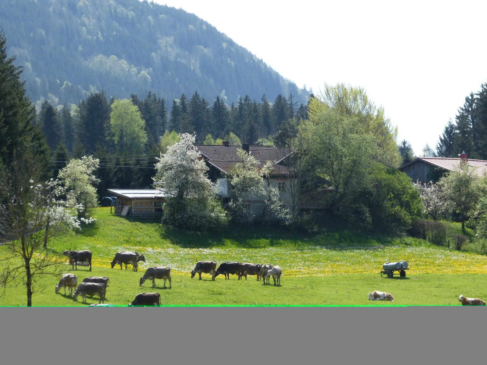 Ferienhaus