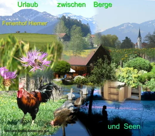 Ferienhaus
