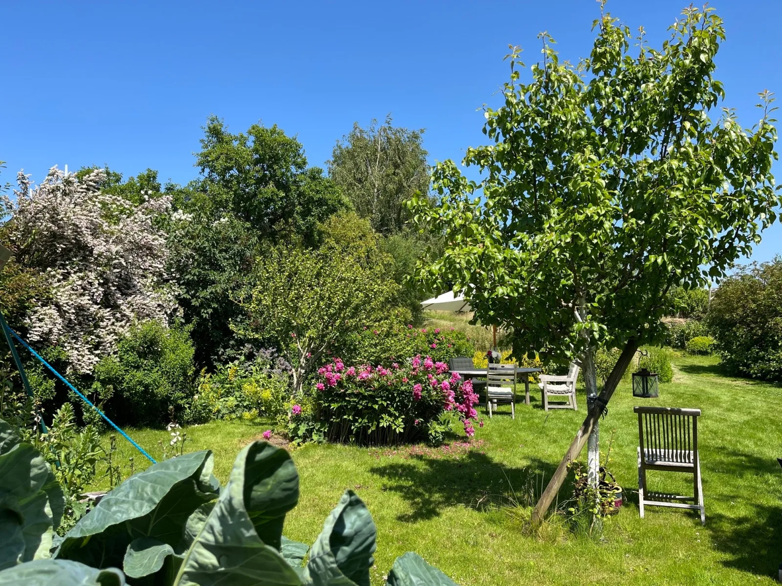 Ferienwohnung mit Klavier an der Ostsee