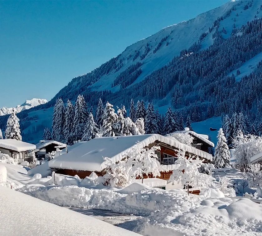 Ferienwohnung Kuhgeheren im Gästehaus Büchele Kleinwalsertal