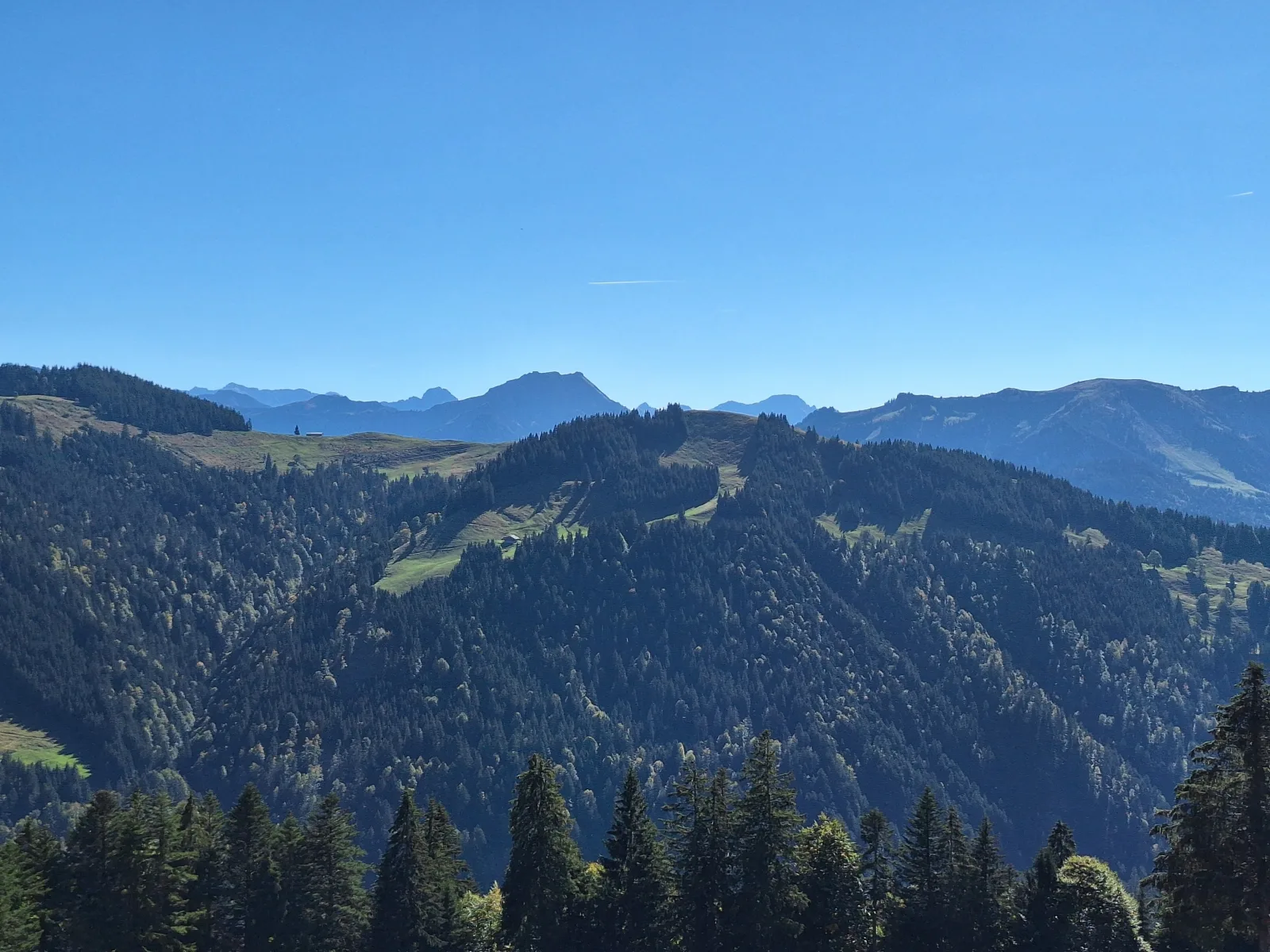 Ferienhof Sonne Wälderin
