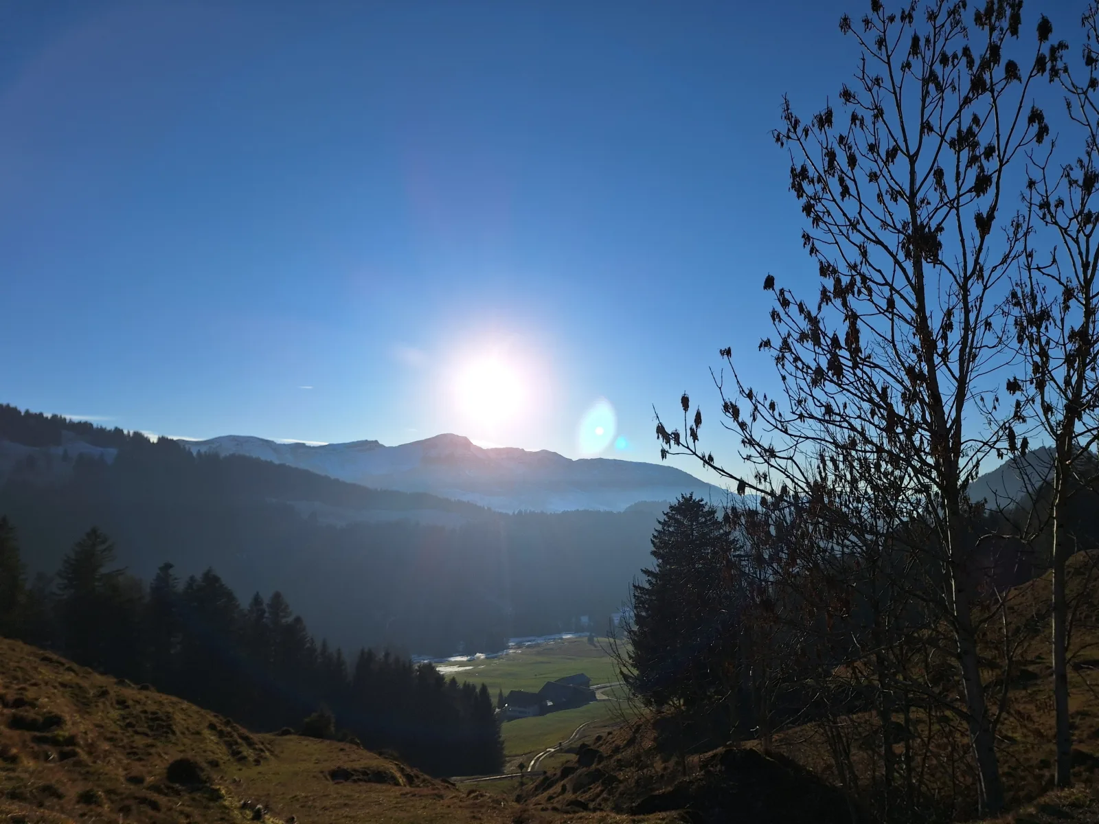 Ferienhof Sonne Wälderin