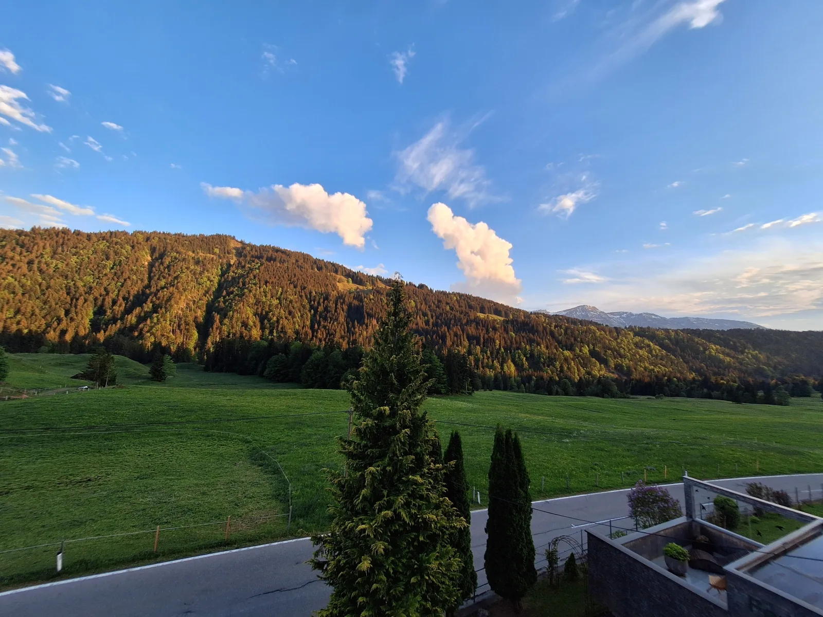 Ferienhof Sonne Wälderin