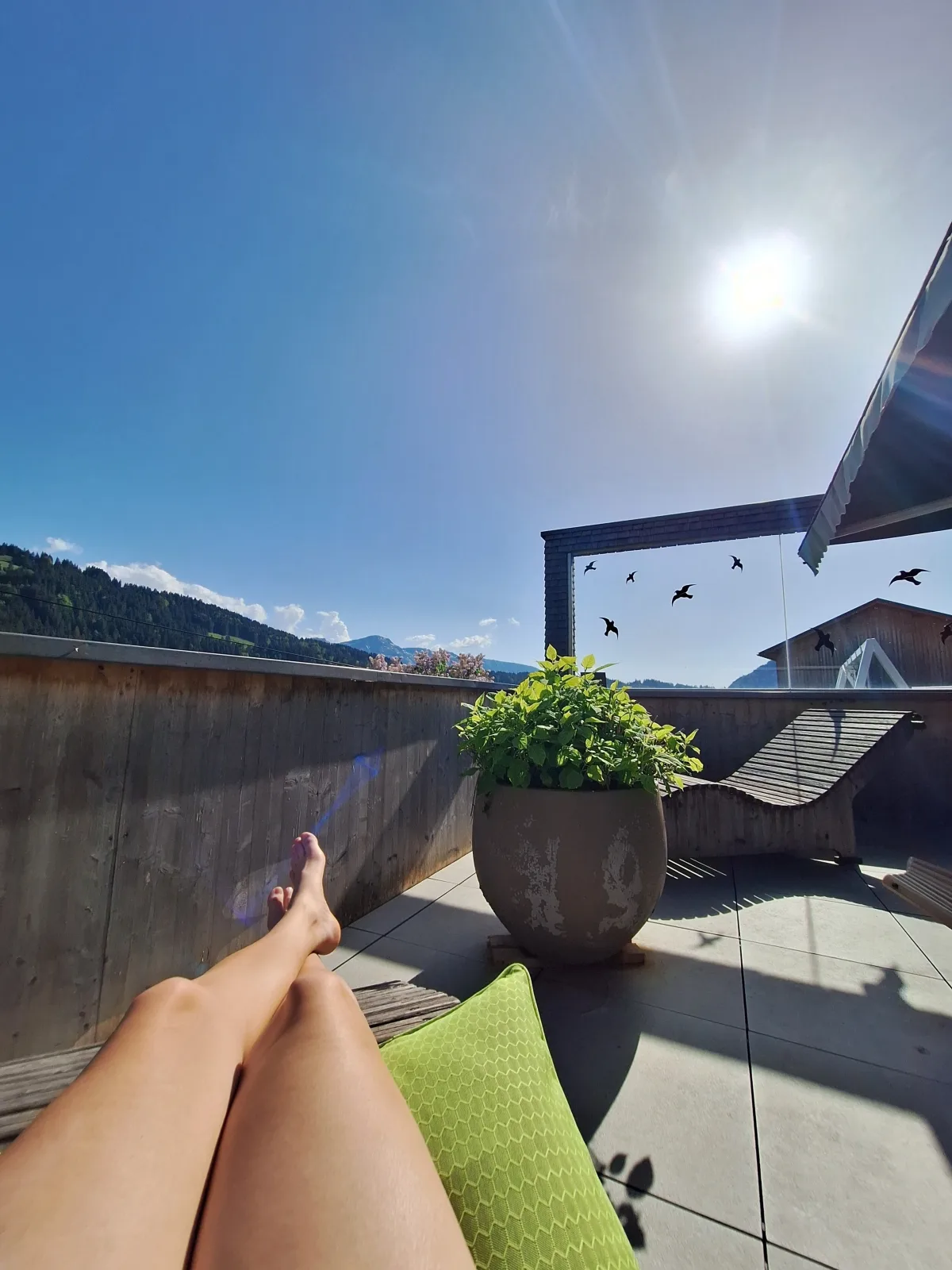 Ferienhof Sonne Wälderin
