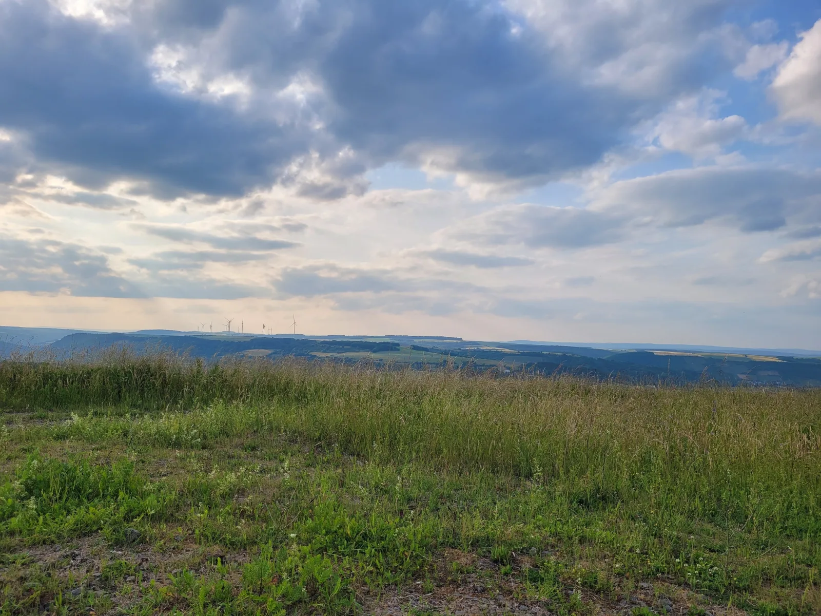 RELAX PUR in der NATUR III