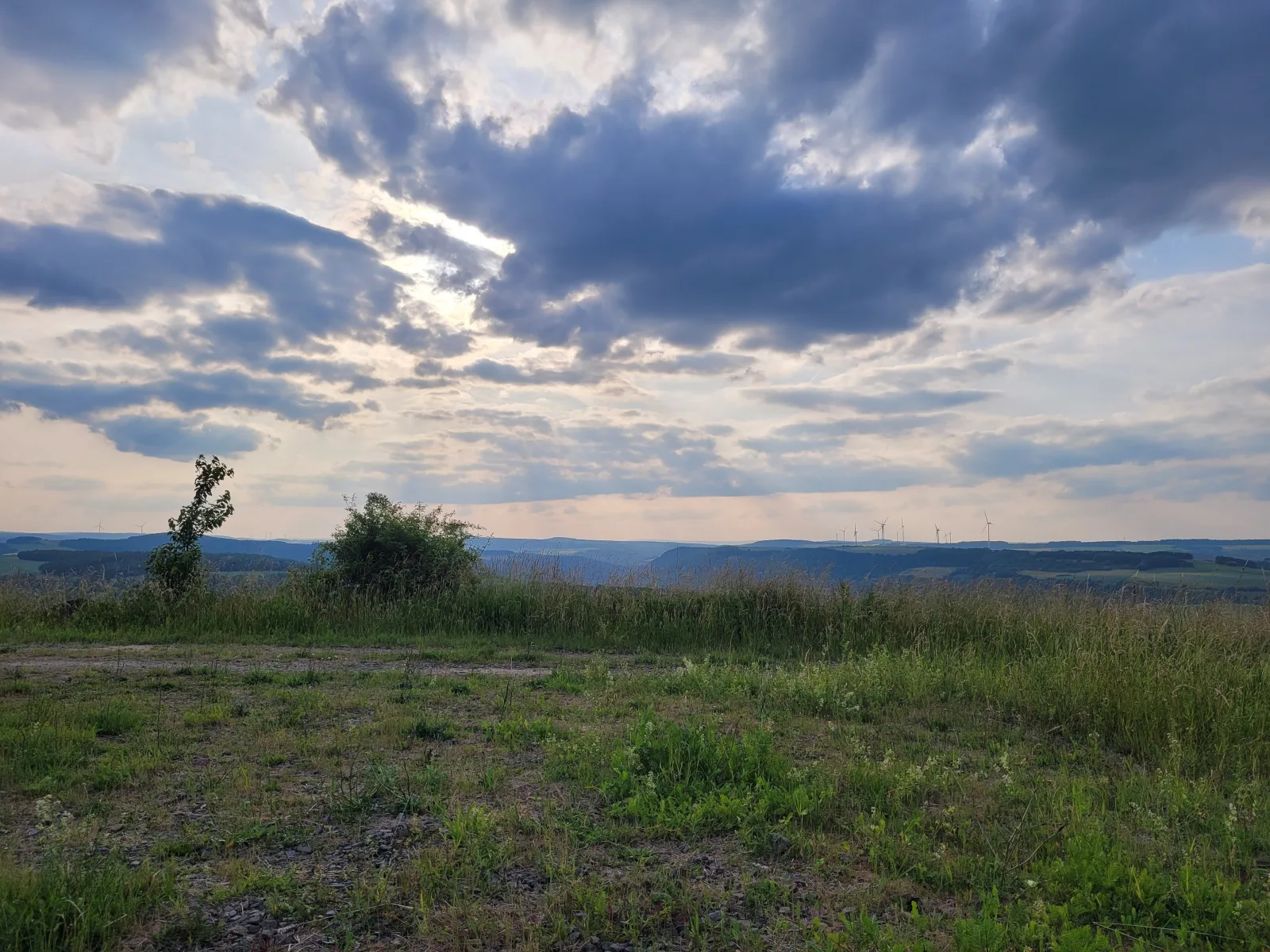 RELAX PUR in der NATUR III